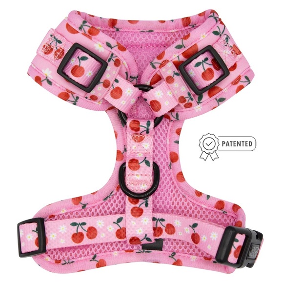 NEW Sassy Woof DOG ADJUSTABLE HARNESS - MON CHÉRRY - SIZE LARGE - Picture 4 of 4